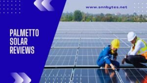 palmetto solar reviews